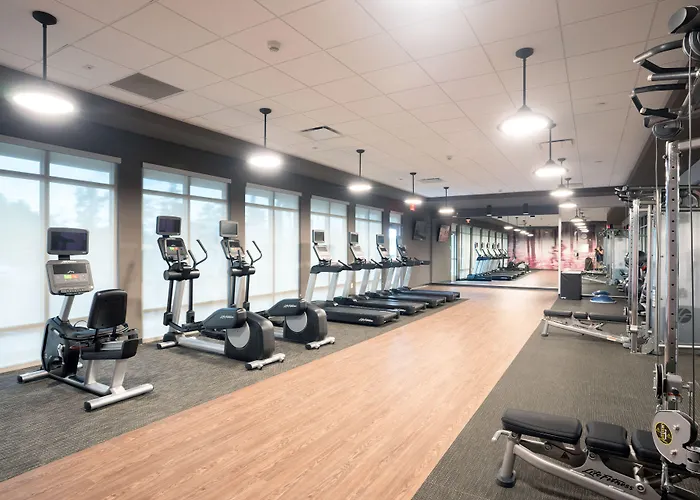 Hotel Courtyard By Marriott Charleston-north Charleston